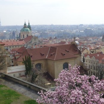 Blick über Prag von der Prager Burg aus